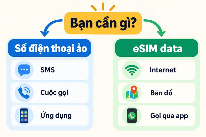 Infographic so sánh số điện thoại ảo dùng SMS với eSIM data dùng internet